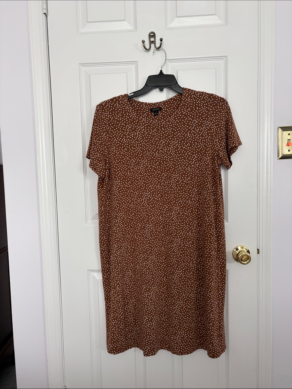 Brown Polka Dot Short Sleeve Dress
